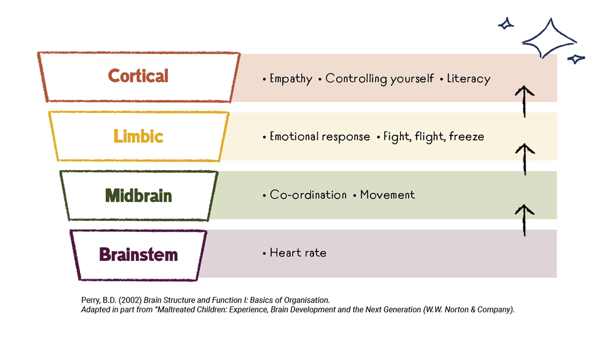 A diagram showing Perry's neurosequential model – Cortical, Limbic, Midbrain and Brainstem.
