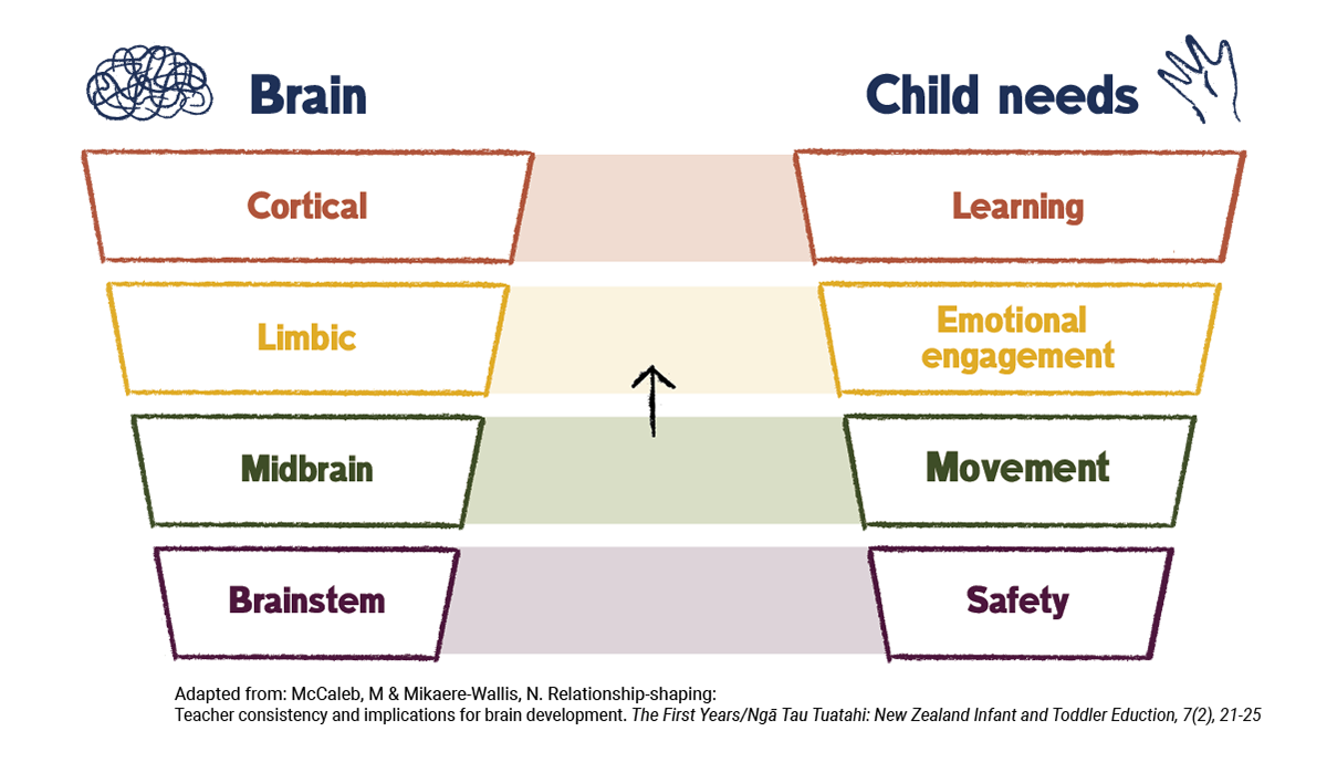 A diagram showing the correlation of the parts of the brain and the needs of the child
