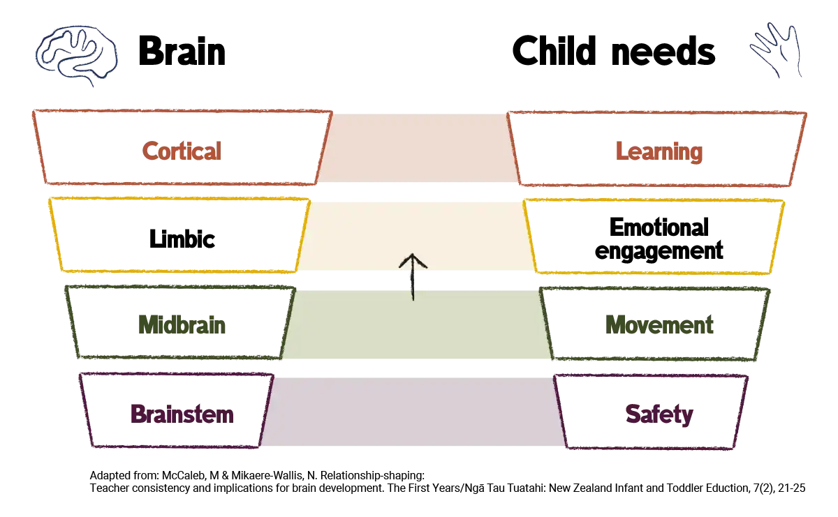 Model links brainstem to safety, midbrain to movement, limbic to emotional engagement and cortical to learning.