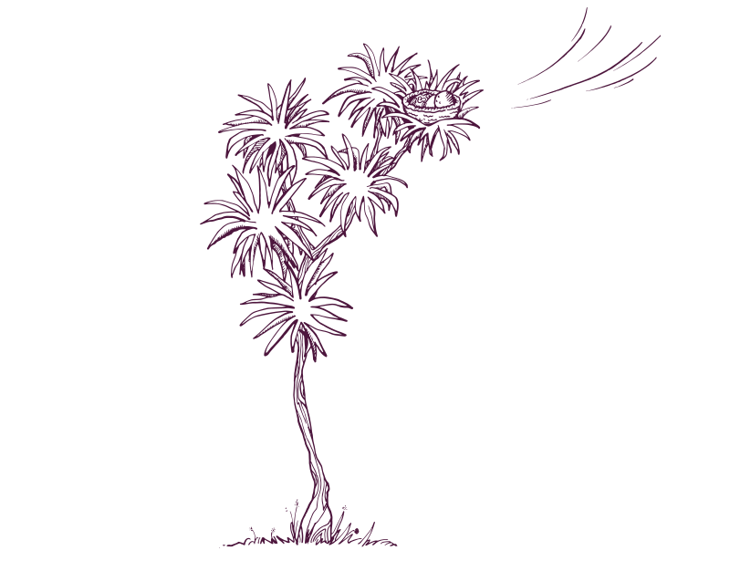 An illustration of a baby in a cradle at the top of a tree with the wind blowing. 