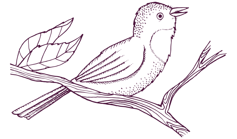 An illustration of a bird perched on a branch.