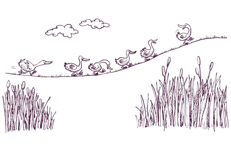 An illustration of six ducks walking in a line, up a hill. 