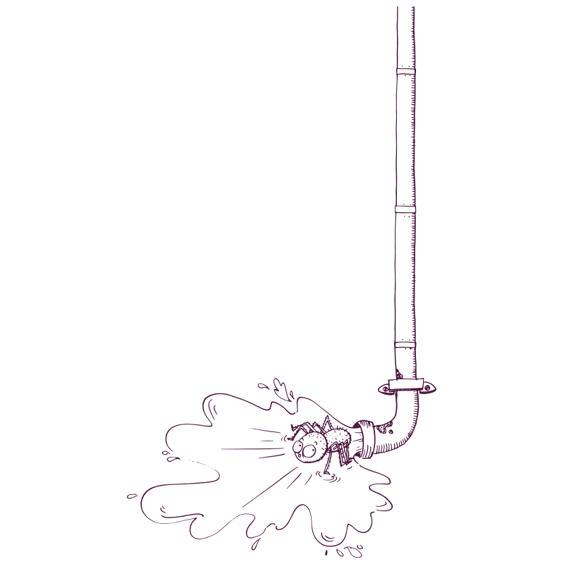 An illustration of a spider being flushed out of a drain pipe.