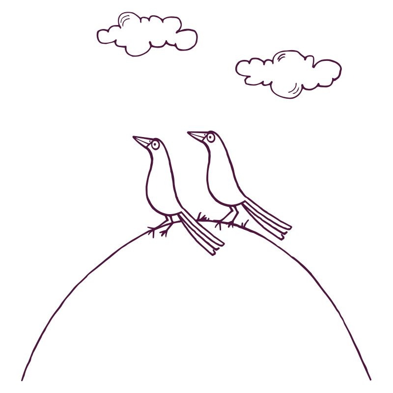 An illustration of two birds on a hill looking up to the sky.
